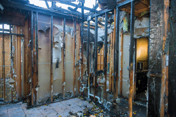 Professional Fire Damage Repair technician working in Hopkins, MN