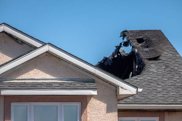 Top rated local Fire Damage Repair specialists in Hopkins, MN